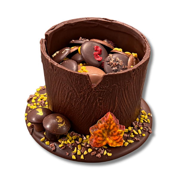 Tronc d'automne n°2